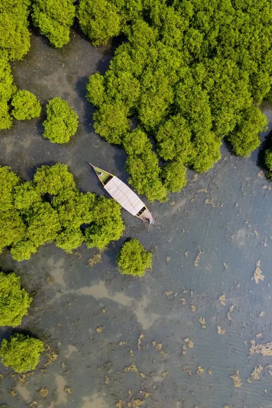 beach villa in kerala